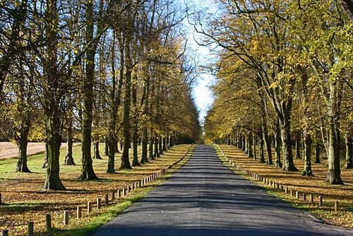 Clumber Park